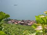 Lavaux: ber Rebberge und schmucke Drfer gleitet der Blick zum Genfersee...