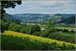 Blick ber die Felder und das Stdtchen Moudon im Waadtlnder Mittelland.
(12.07.2012)