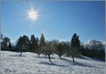 Winterlandschaft bei St-Legier  (16.01.2013)  