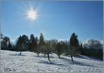 Winterlandschaft bei St-Legier
(16.01.2013)
