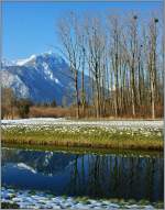 Am Grand Canal beim Naturschutzgebiet Les Grangettes.
(17.02.2013)