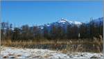 Winterruhe im Naturschutzgebiet Les Grangettes.