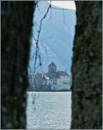 Das Chteau de Chillon umrahmt von Birkenstmmen.
(14.03.2013)