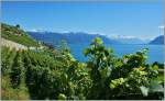 Im Lavaux mit Blick auf die Waadtlnder Alpen, den Genfersee und das Dorf St.Saphorin.