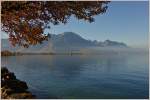 Herbststimmung am Genfersee  (01.11.2014) 