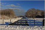 Winter am Grande-Canal des Naturschutzgebiet Grangettes   (11.Januar 2018)      