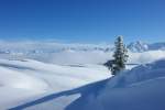 Es ist selten das der Nebel im Wallis ber 2000 m..M. hoch reicht. Blick von der Hohfluh (2227 m..M.) in Richtung Goms.
(28.01.2009)