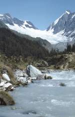 Lötschental mit dem Fluss Lonza und Langgletscher, aufgenommen im Sommer 1981