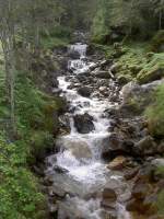 Wasserfall bei Vercorin, Rhonetal (14.09.2010)