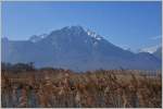 Frühjahrsstimmung im Naturschutzgebiet La Grangettes mit Blick auf den Grammont   (2172 m.ü.M.).