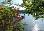 Herbststimmung am Husemersee bei Ossingen vom 11.10.2011