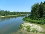 Thurauen bei Flaach. Im Hintergrund Thurbrcke (26.05.2012)