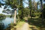 Kulturweg (ViaRhenana) zwischen Ellikon am Rhein und Rheinau mit lichtem und usserst gepflegtem Wald.