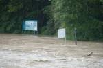 Thurauen / Uferweg unter Wasser (Hochwasser Thur 02.06.2013)