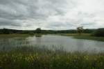 Thurauen / Das Hochwasser vom 2. Juni 2013 kann auch eine schne Seite haben. Im Ellikerfeld entstand ein Biotop das durchaus seinen Reiz hat (03.06.2013).