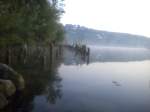 Fischen am Murtensee