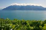 Sptsommerstimmung am Genfersee.