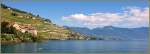 Panorambild am Genfersee: Blick auf die Weinberge und die Waadtlnder Alpen.