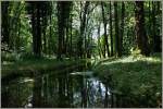 Der Wald des Naturschutzgebiet der Grangettes ldt bei warmen Temperaturen zu einem khlen Spaziergang ein.