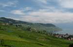 Aussicht ber die Weinberge des Lavaux.