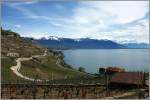 Kurz vor dem Wetterumschwung hatte man eine klare und weite Aussicht ber den Genfersee, das Lavaux und die Waadtlnder Berge.