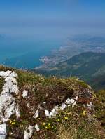 Blick hoch vom Gipfel des Rochers-de-Naye (2.042 m .