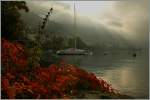 Herbstimmung am Lac Lman, (Genfersee) bei Territe.