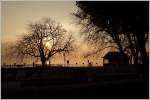 Abendstimmung am Genfersee.
(10.03.2014)