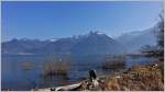 Vom Naturschutzgebiet La Grangettes sieht man im Frühjahr ungehindert über den Genfersee auf die Waadtländer Alpen und die Riviera.