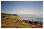 Herbstliche Ausblicke von Grandvaux ber das Lavaux und den Genfersee.