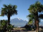 Palmen umrahmter Blick von der Seepromenade in Montreux ber den Genfer See, auf den 2172 Meter hohen Grammont.