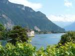 Whrend im Vordergrund der exzellente Rebensaft dieser Region reift, sieht man im Hintergrund das Chteau de Chillon und die Dents-de-Midi, welche sich am 02.02.08 teilweise hinter den Wolken versteckten. (Jeanny)