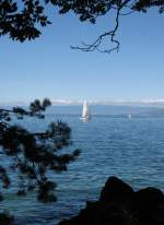 Sommerstimmung am Genfersee.
(Juli 2008)