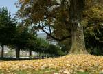 Herbststimmung am Genfersee.