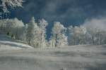 Winter 2006 im Zürcher Oberland.