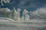 Winter 2006 im Zrcher Oberland.