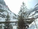 In der Schllenen-Schlucht zwischen Gschenen und Andermatt im Gotthardgebiet.