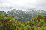 Die Julischen Alpen am Bohinjsee in Slowenien vom Vogel aus gesehen.