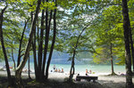 Bohinjsko jezero in Slowenien.