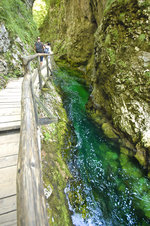 Die Vintgar-Klamm (slowenisch: Blejski Vintgar) ist eine Klamm ca.