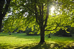 Im Park am Bleder See in Slowenien.