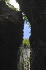 Die Pokljuka Schlucht in Slowenien von unten nach oben gesehen.