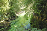 Die Vintgar-Klamm (slowenisch: Blejski Vintgar). Aufnahme: 2. August 2016.