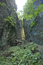 Die Pokljuka Schlucht in Slowenien.