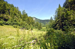 Landschaft am Weg zur Pokljuka Schlucht in Slowenien.