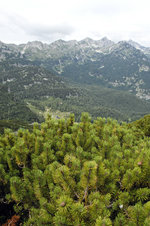 An der Vogel-Bergbahn in den Juliaschen Alpen von Slowenien.