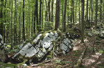 Felsenmeer im Wald am Slavica-Fluss in Slowenien.