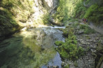 Die Vintgar-Klamm (slowenisch: Blejski Vintgar). Aufnahme: 2. August 2016.