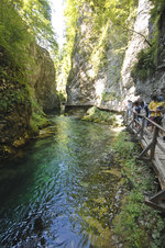 Der Fluss Radovna in der Vintgar-Klamm (slowenisch: Blejski Vintgar).