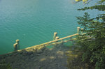 Smaragdgrünes Wasser im Bleder See (slowenisch: Blejsko jezero) in Slowenien.
